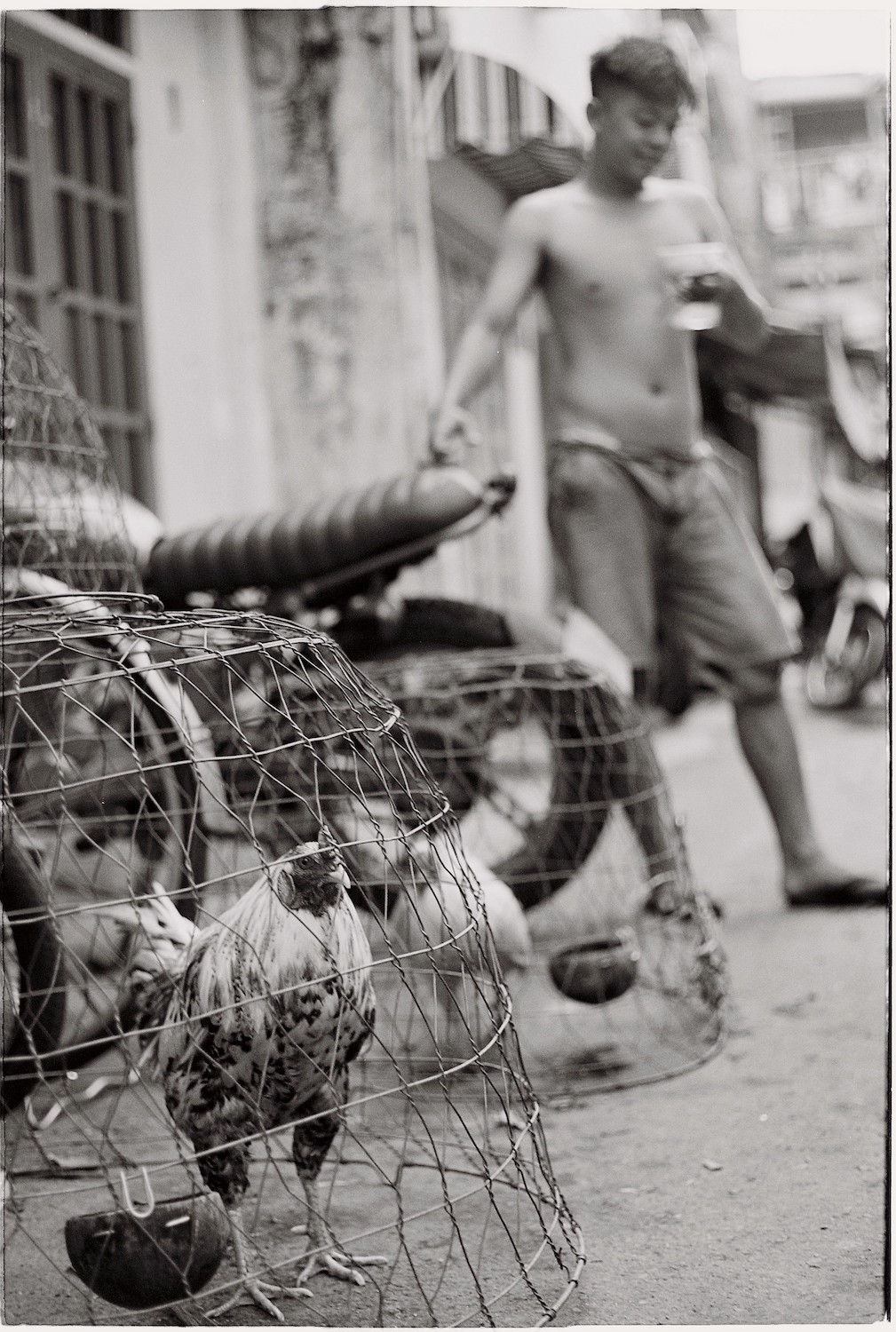 Boy walking past caged chickens in an alley